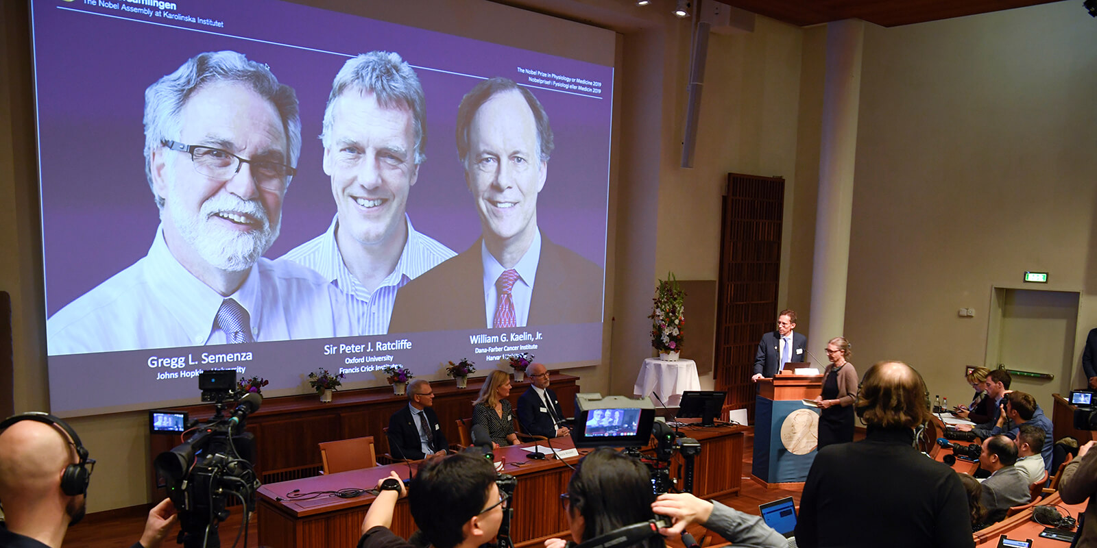 гипоксия: открытие, удостоенное Нобелевской премии